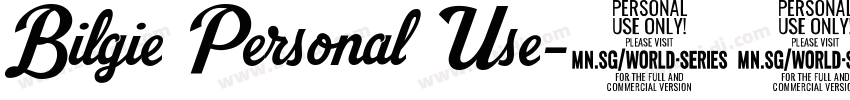 Bilgie Personal Use字体转换